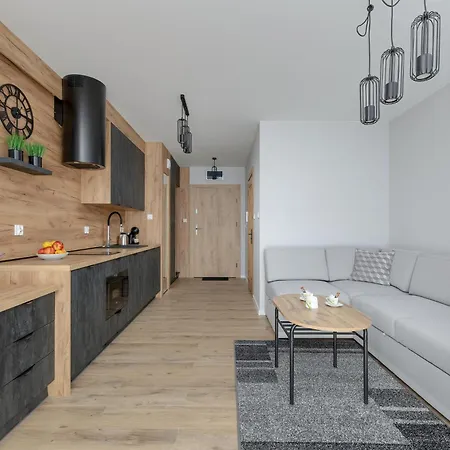 Apartment Wellness & Riverfront With Parking By Renters Dziwnow