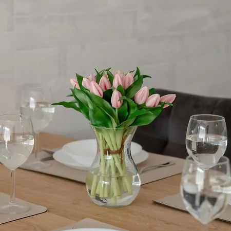 Apartmán Wellness & Riverfront With Parking By Renters