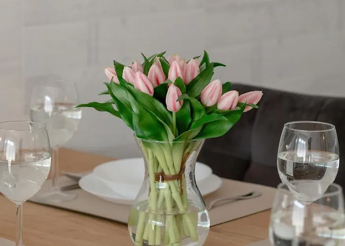 Διαμέρισμα Wellness & Riverfront With Parking By Renters